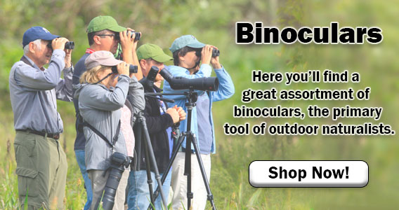 Shop All Binoculars